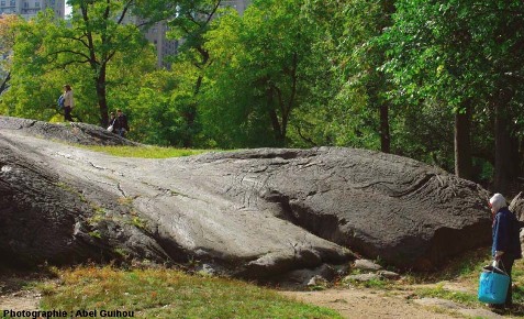 Poli glaciaire et roches plissées, Central Park, New York (USA)