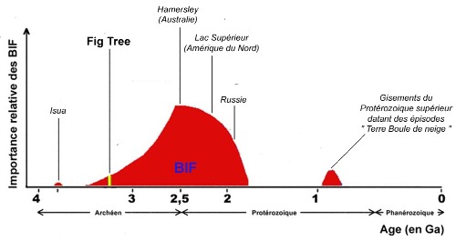 Évolution de l'importance relative des BIF (fers rubanés) au cours des temps géologiques