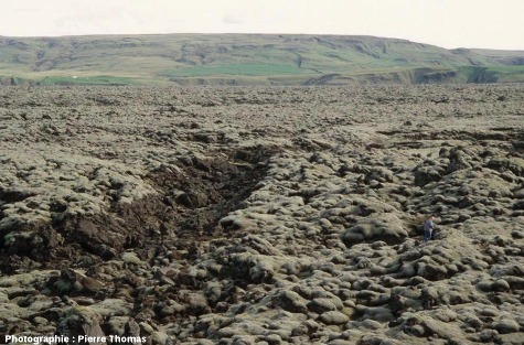 Vue d'un secteur de la coulée du Lakagigar (Laki en français) près de la côte Sud islandaise