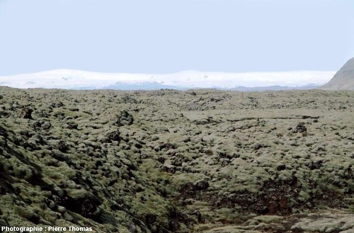 Vue sur la coulée du Laki (Islande) prise en direction de l'Ouest