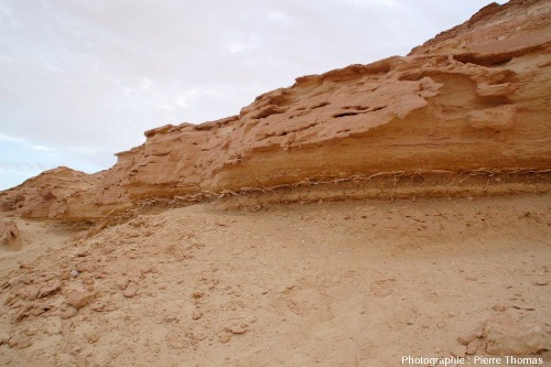 Cadre géologique des filonnets de gypse fibreux, série argilo-marneuse du Miocène, oasis de Siwa (Égypte)