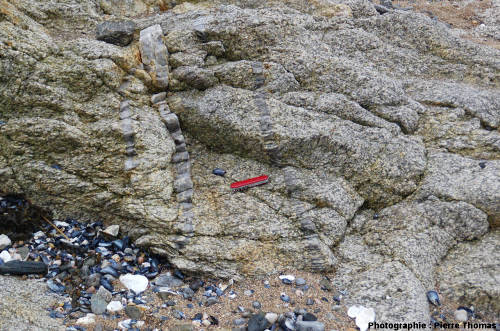 Le rocher traversé par le filon de pegmatite à structure harrisite, bordure Nord du granite de Guérande, plage de la Mine, Piriac-sur-Mer (Loire Atlantique)