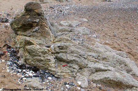 Le rocher traversé par le filon de pegmatite à structure harrisite, bordure Nord du granite de Guérande, plage de la Mine, Piriac-sur-Mer (Loire Atlantique)