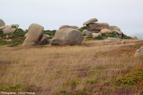 Chaos granitique sur la côte de granite rose, entre Trégastel et Ploumanc'h