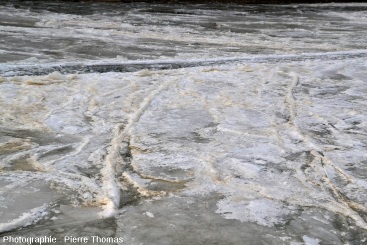 Plaques de glace avec « rides » compressives sur la Saône