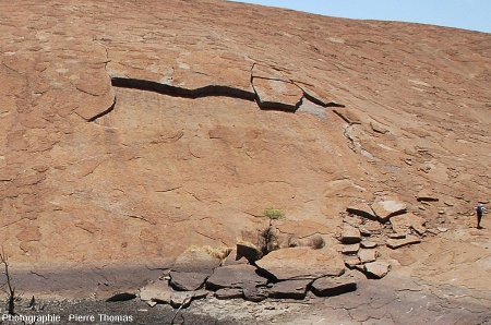 Desquamation en grand à la surface de l'inselberg granitique des Three Sisters, Afrique du Sud