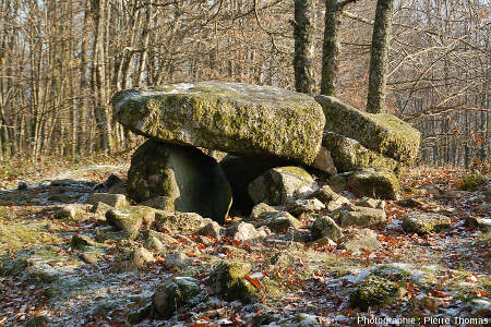 Dolmen des rochers de Puychaud, Blond, Haute Vienne