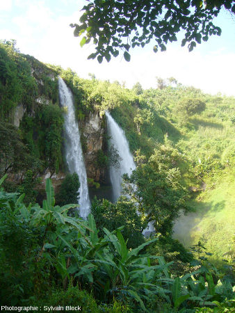 Vue de la coulée pyroclastique (derrière les cascades) contenant les troncs silicifiés, SIpi Falls, Ouganda