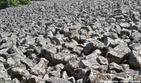 Blocs basaltiques du pierrier, ou chaos rocheux, connu sous le nom de clapas de Thubiès