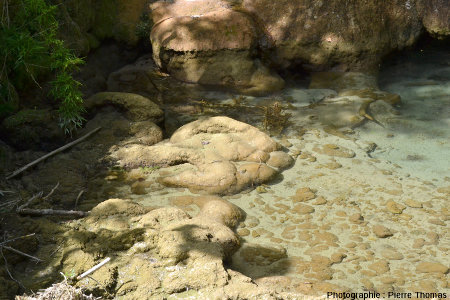Stromatolithes situés sur le côté Sud du gour de la cascade pétrifiante de Saint Pierre-Livron