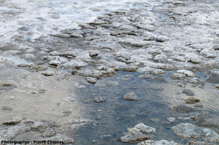 Vague déferlant sur les dômes stromatolithiques de la Laguna Amarga (Chili)