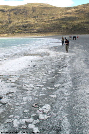 Plage à stromatolithes de la Laguna Amarga et vagues déferlantes