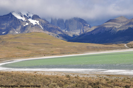 Vue globale de la partie Sud-Est de la Laguna Amarga, Patagonie du Sud (Chili)