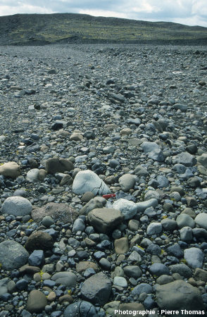 Champ de galets avec galet fracturé par cryoclastie, Islande