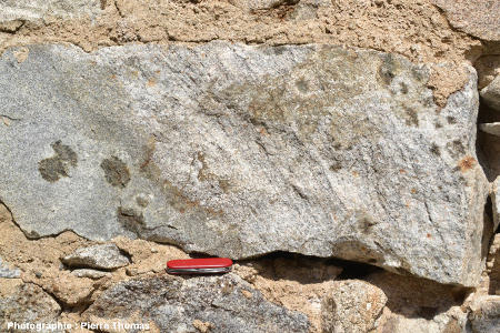 Bloc mixte de granite à cordiérite et de gneiss migmatitique