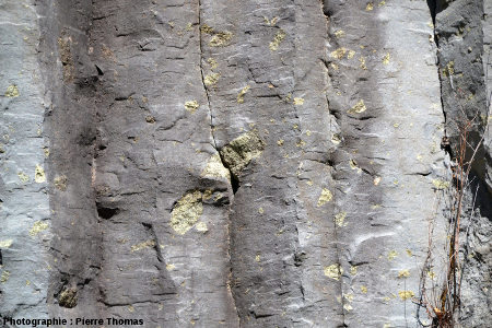 Basalte dont la prismation "fracture" un nodule de péridotite, coulée du Ray Pic, Ardèche