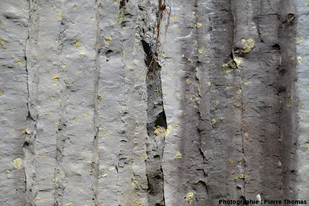 Coulée de basalte à nodules décalés par la prismation, coulée du Ray Pic, Ardèche