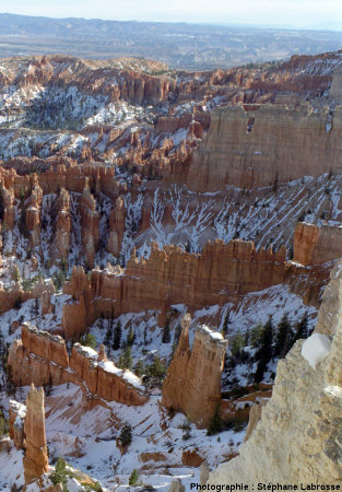 Vue hivernale sur Bryce Canyon prise du rebord du plateau