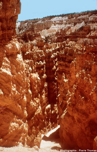 Bryce Canyon, en contrebas du rebord du plateau, en descendant entre les hoodoos