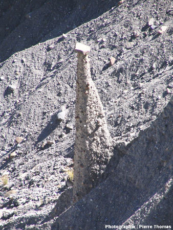 Demoiselle coiffée au chapeau plat, Théus, Hautes Alpes