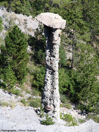 Demoiselle coiffée d'une casquette, Théus, Hautes Alpes