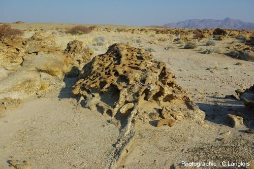 Taffonis dans des granites à l'Est de la ville de Swakopmund sur le littoral de la Namibie