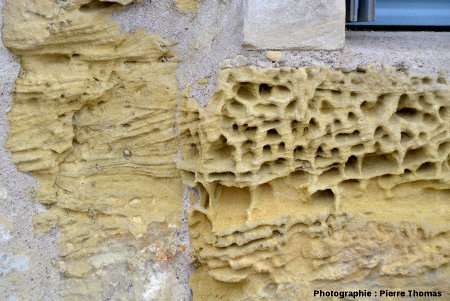 Érosion alvéolaire dans un calcaire bioclastique servant de soubassement au mur d'une habitation semi-troglodytique, Chinon, Indre et Loire