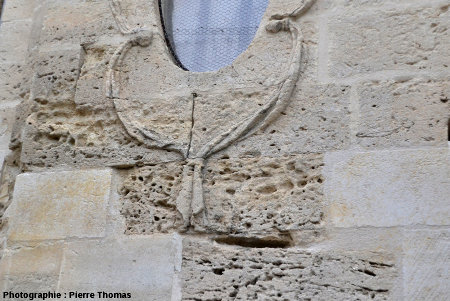Détail d'un mur de l'église Saint Étienne d'Uzès particulièrement attaqué par l'érosion alvéolaire avec de superbes taffonis sensu lato