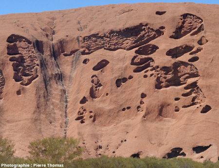 Taffonis affectant la face Nord-Est d'Uluru, Australie