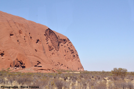 Vue, plus éloignée et oblique, des taffonis de la face NE d'Uluru, Australie