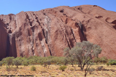 Vues de la face NO d'Uluru, montrant les taffonis alignés le long des couches très altérables/érodables