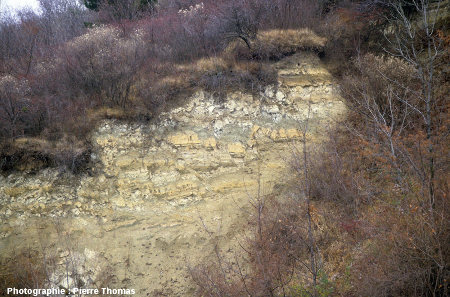État des terrains situés à l'aplomb de la principale entrée des carrières souterraines de Romagnat quelques années (1985) après l'effondrement, volontaire, de l'entrée de ces galeries (1970)