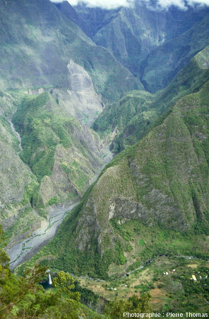 Vue d'ensemble de la vallée du Bras des Roches Noires depuis le belvédère de Bois Court, île de La Réunion