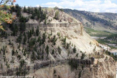 La vallée de la la Yellowstone River, Parc National de Yellowstone, au niveau du sill des images précédentes