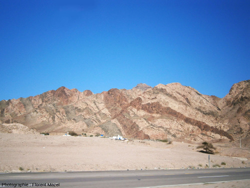 Réseaux de dykes noirâtres et rougeâtres au-dessus d'un petit village, à une dizaine de kilomètre à l'Est d'Aqaba (Jordanie)