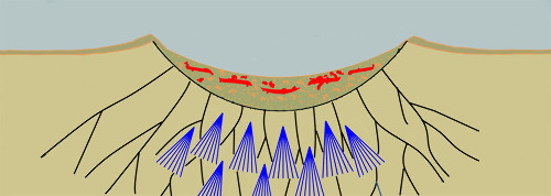 Répartition et position théoriques idéalisées des fractures ordinaires (en noir) et des shatter cones (en bleu) sous un cratère d'impact