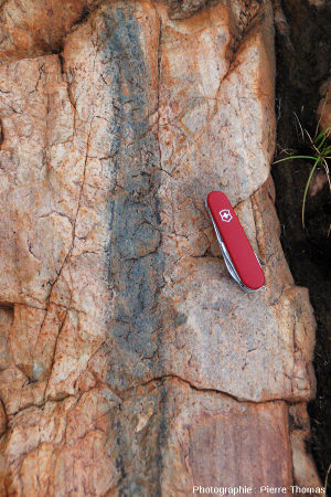 Zoom sur une veine sombre de pseudotachylite, site de Bobbejaanrant, Afrique du Sud