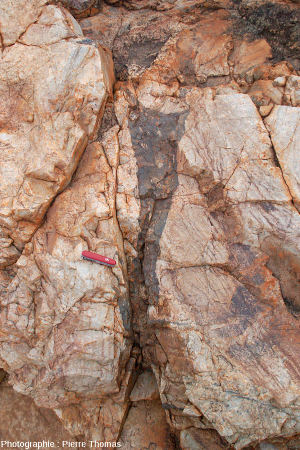 Poche de pseudotachylite, site de Bobbejaanrant, Afrique du Sud
