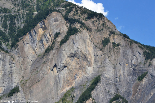 Série de plis complexes dans les marnes et calcaires du Jurassique inférieur dans une falaise en face de La Paute (Bourg d'oisans, Isère)