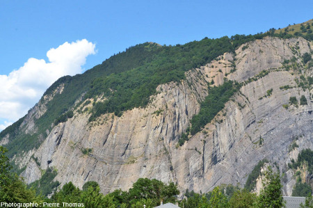 Vue du grand synclinal Ouest de la paroi située en face de La Paute, Isère