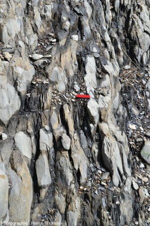 Vue rapprochée sur les alternances marno-calcaires liasiques au voisinage immédiat de la faille