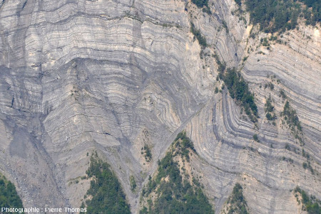 Zoom sur le pli-faille des falaises de la Roche du Pontet