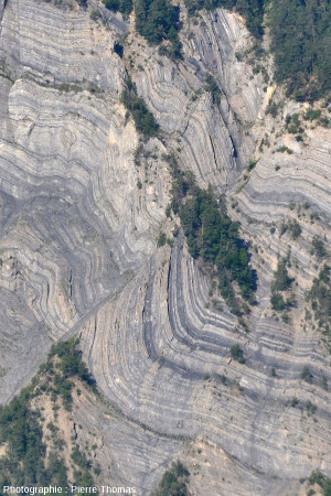 Zoom sur le pli-faille des falaises de la Roche du Pontet