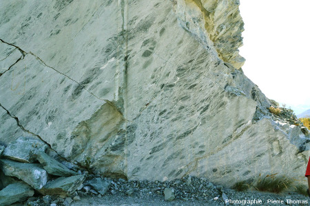 Vue d'une surface encore plus grande de la carrière de serpentinite du Val d'Aoste (Italie)