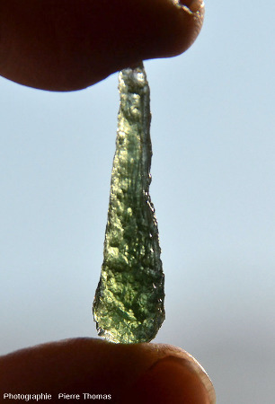 Moldavite en forme de larme (ou de poire), vue en transparence