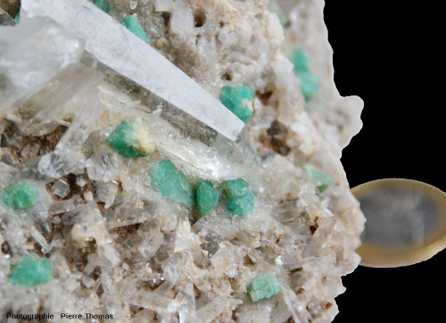 Fragment de filon hydrothermal brésilien où des émeraudes (non transparentes) ont cristallisé associées à du quartz