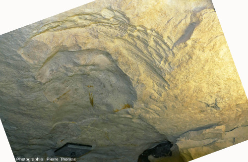 Détail de l'empreinte en creux d'un rognon de silex extrait par des mineurs du Néolithique