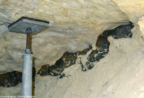 Gros plan sur un rognon de silex in situ dans la craie campanienne d'une minière de silex de Spiennes (Belgique)