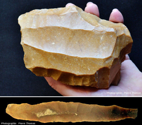 Nucléus (appelé localement « livre de beurre » ) et lame néolithique en silex turonien (Crétacé supérieur), Grand Pressigny (Indre et Loire)