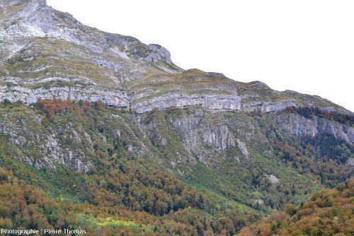 La discordance Crétacé supérieur / granite hercynien de la région du Pic de Ger, vue depuis la vallée du gave d'Ossau (Pyrénées Atlantiques)